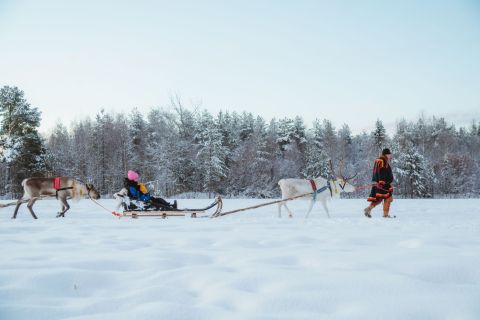 Reindeer Sleigh Ride at Apukka, Finland © Apukka Resort