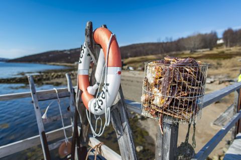 King Crab, Kirkenes, Norway © Orjan Bertelsen/Hurtigruten