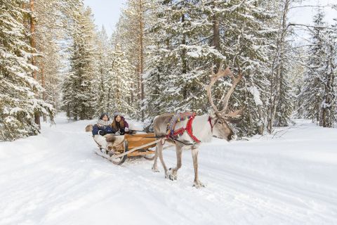 Reindeer Safari Rovaniemi, Finland © Visit Rovaniemi